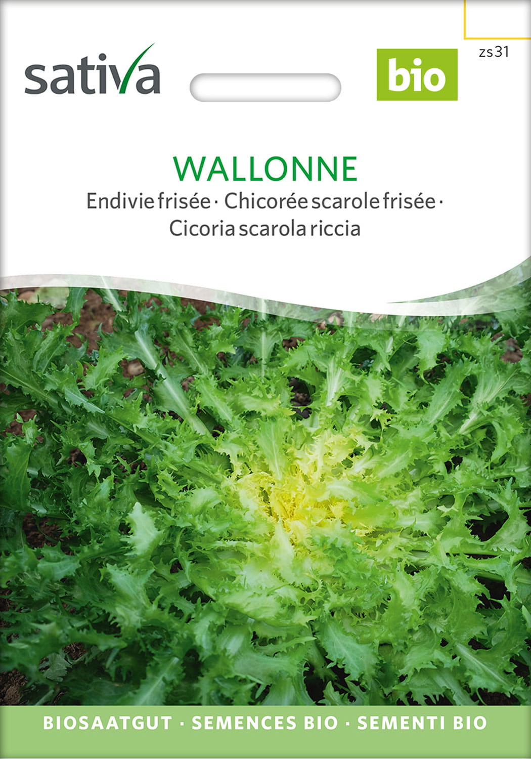 Frisee Endivie Saatgut - Sativa