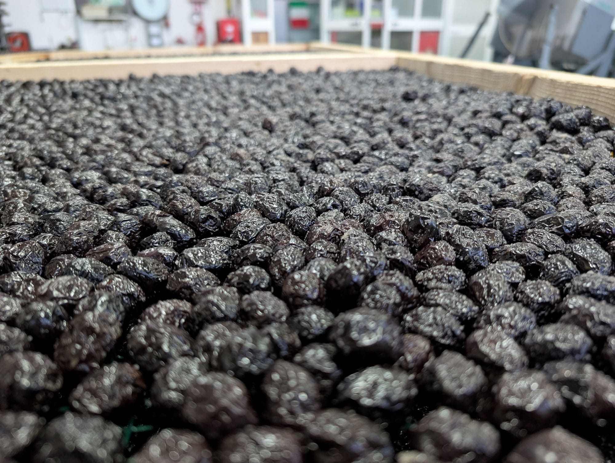 Ferrandina Dörroliven