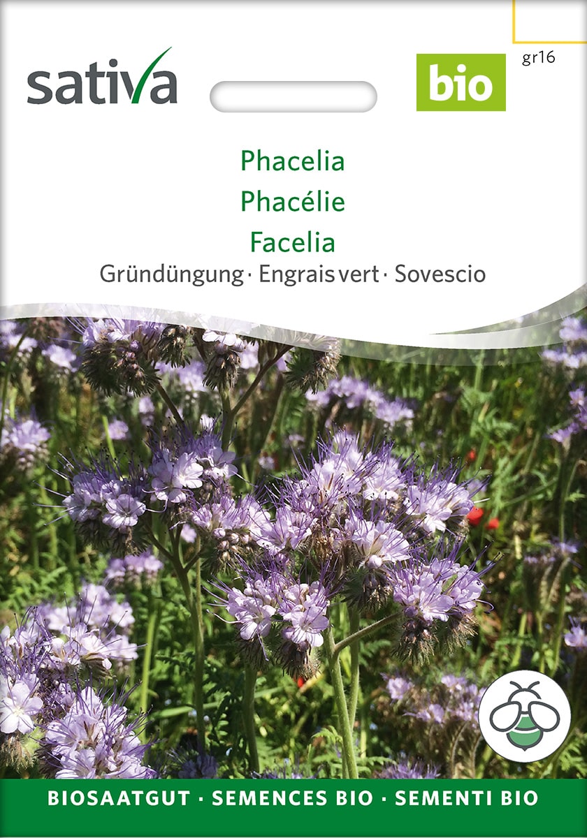 Gründüngung Phacelia ('Bienenfreund') Saatgut