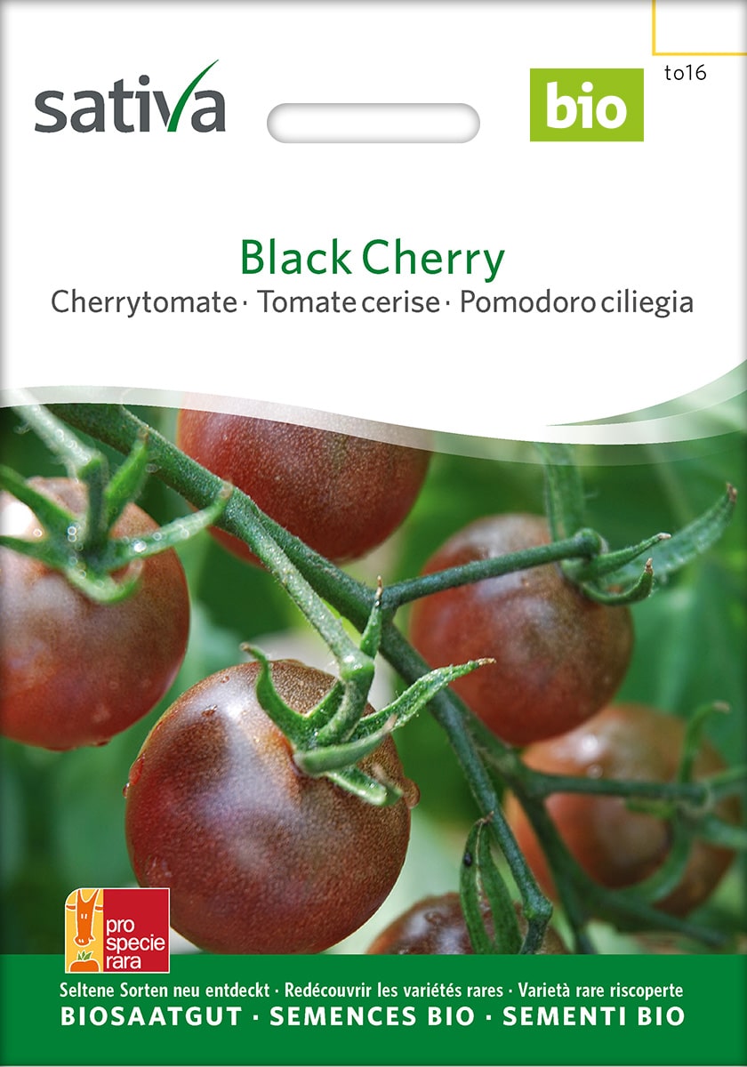 Cherrytomate 'Black Cherry' Saatgut