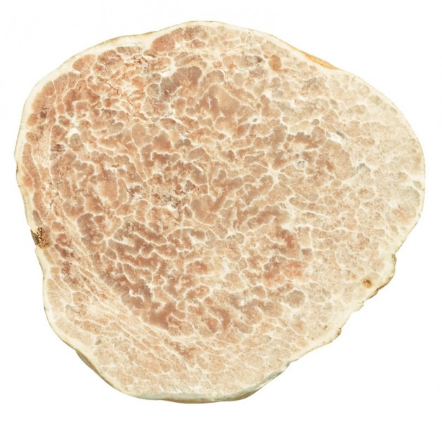 frische weiße Trüffel (Tuber magnatum pico) 4. Handauslese, Alba frische weiße Trüffel (Tuber magnatum pico) 4. Handauslese, Alba