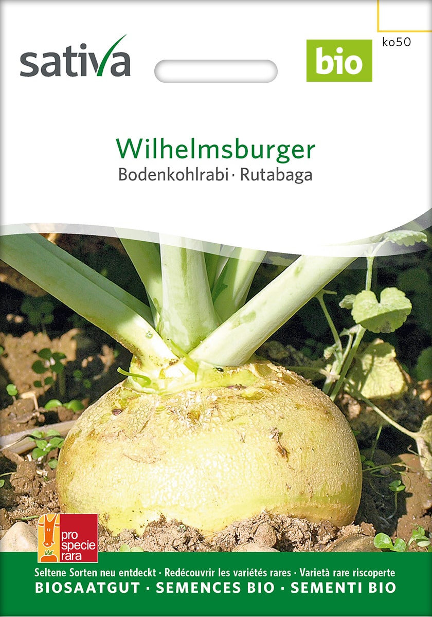 Kohlrübe 'Wilhelmsburger' Saatgut