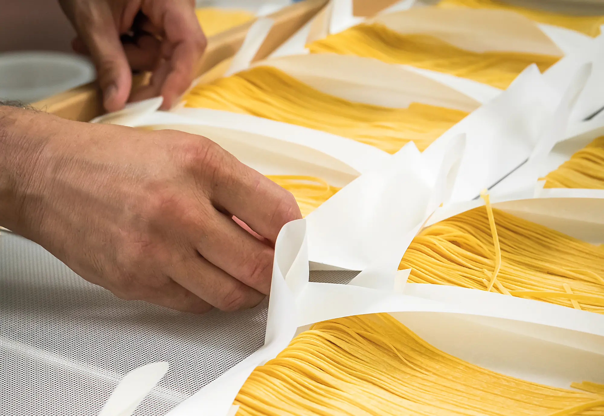 Filotea Pasta Filotea Pasta