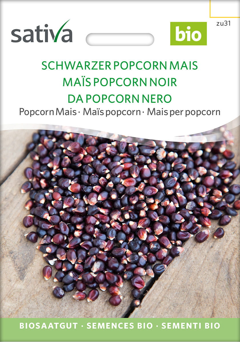 Popcorn Mais Saatgut - Sativa