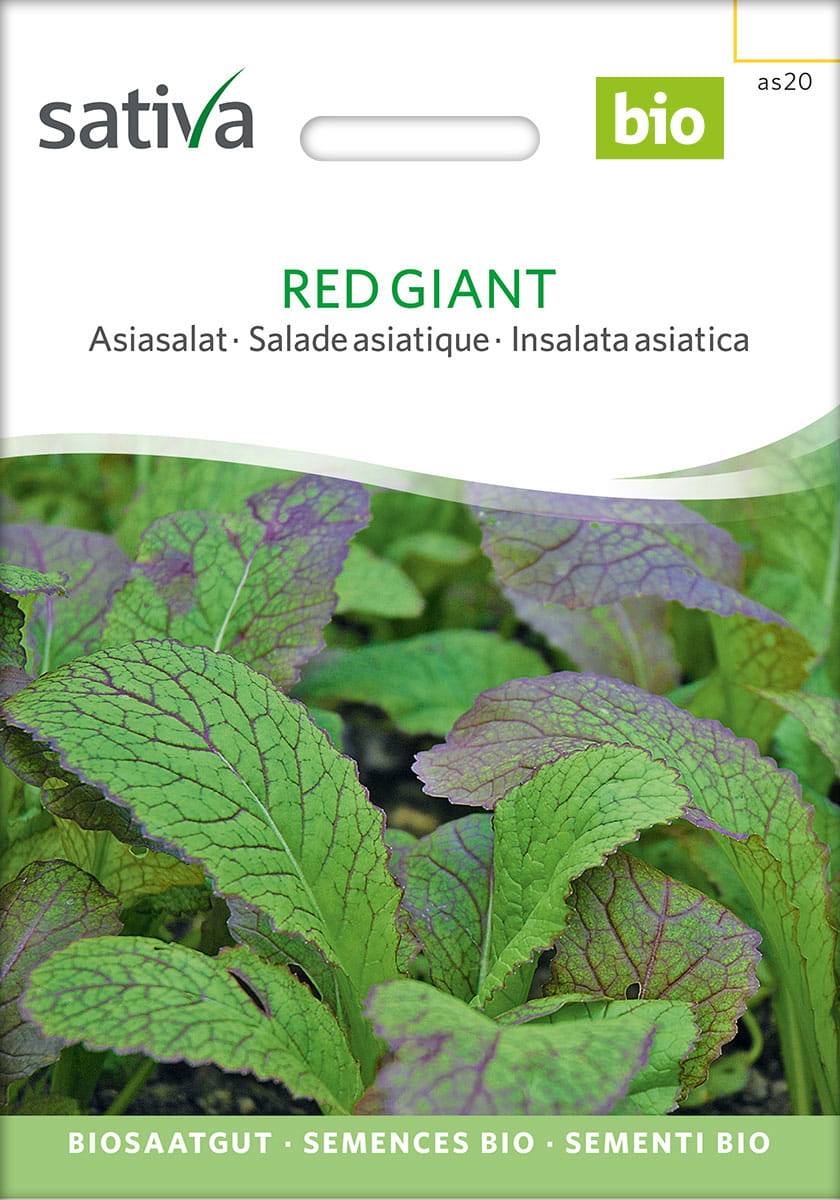Asiasalat Red Giant Saatgut - Sativa