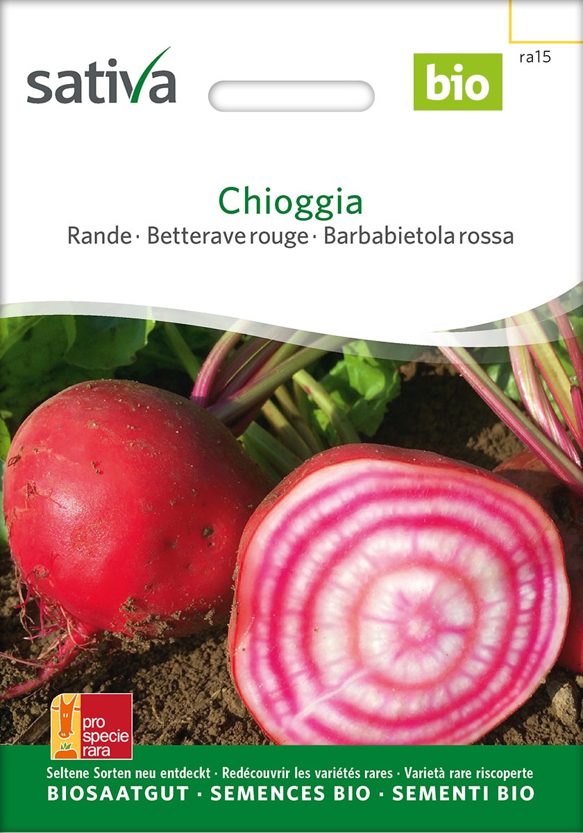 Rote Bete Chioggia Saatgut