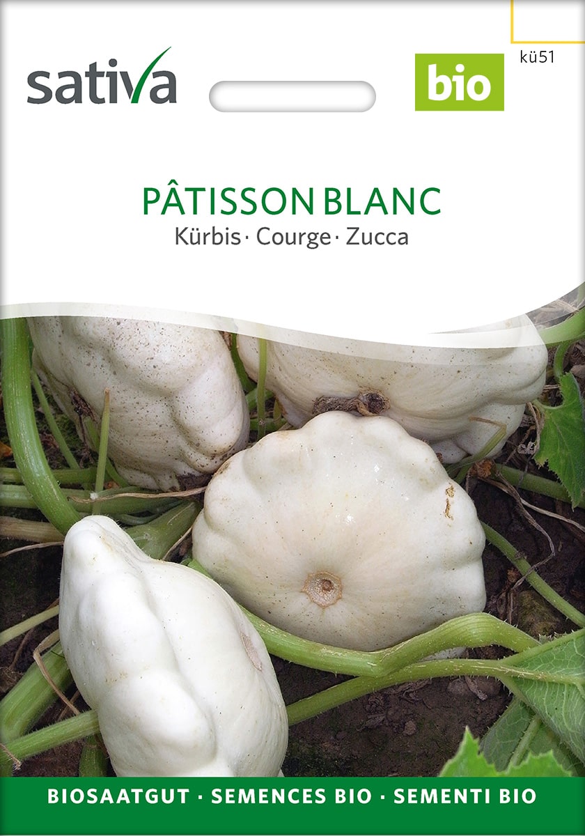 Kürbis Pâtisson blanc (C. pepo) Saatgut