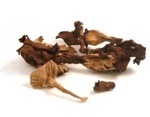 Herbsttrompeten, getrocknet Herbsttrompeten, getrocknet