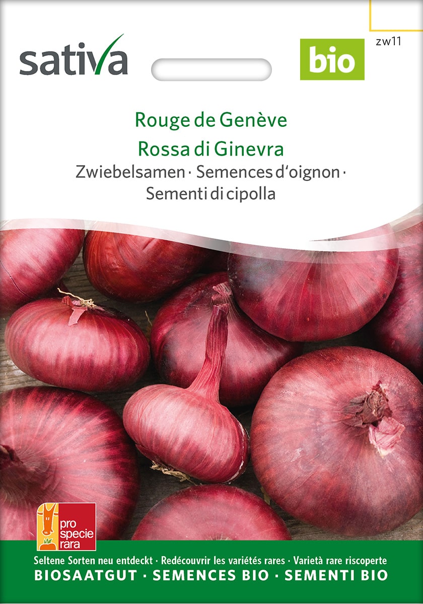 Speisezwiebel 'Rouge de Genève' - Saatgut