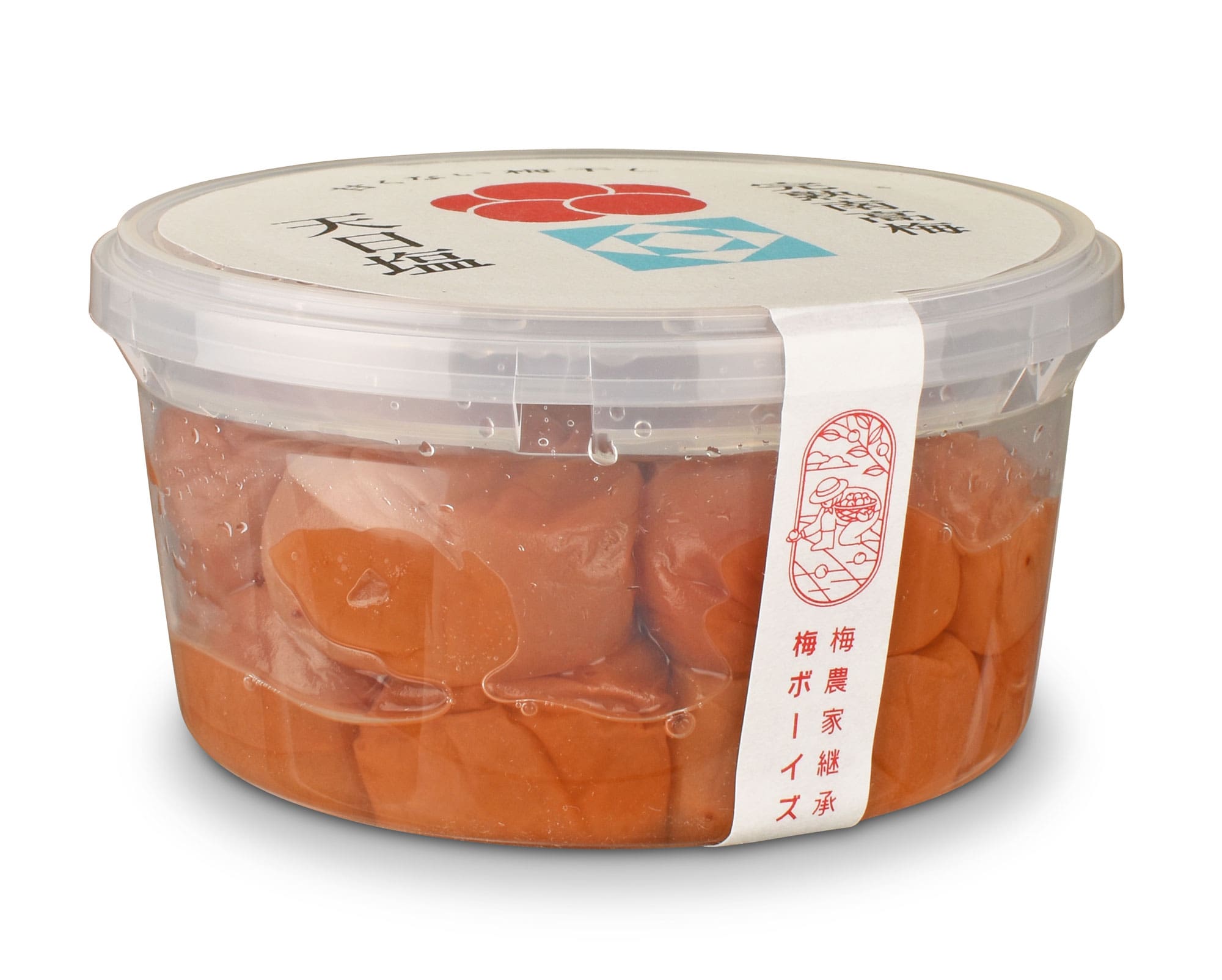 Umeboshi - japanische Salzpflaumen in der Dose