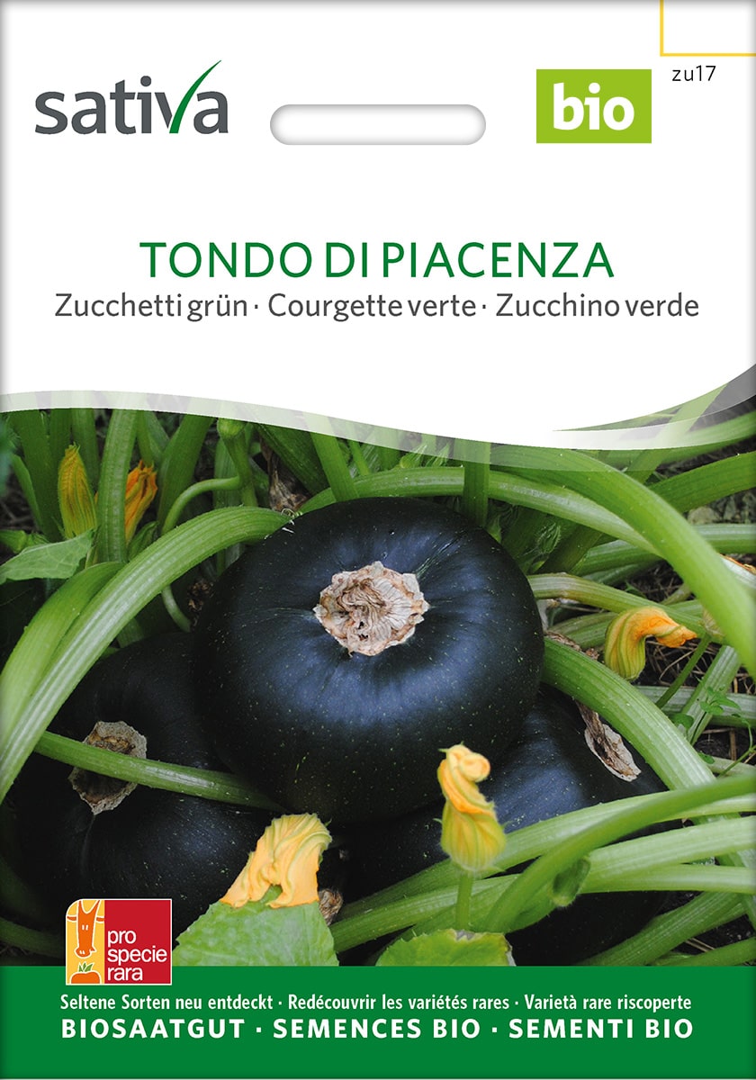 Zucchetti Tondo di Piacenza Saatgut