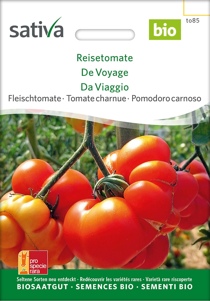 Fleischtomate 'Reisetomate' Saatgut