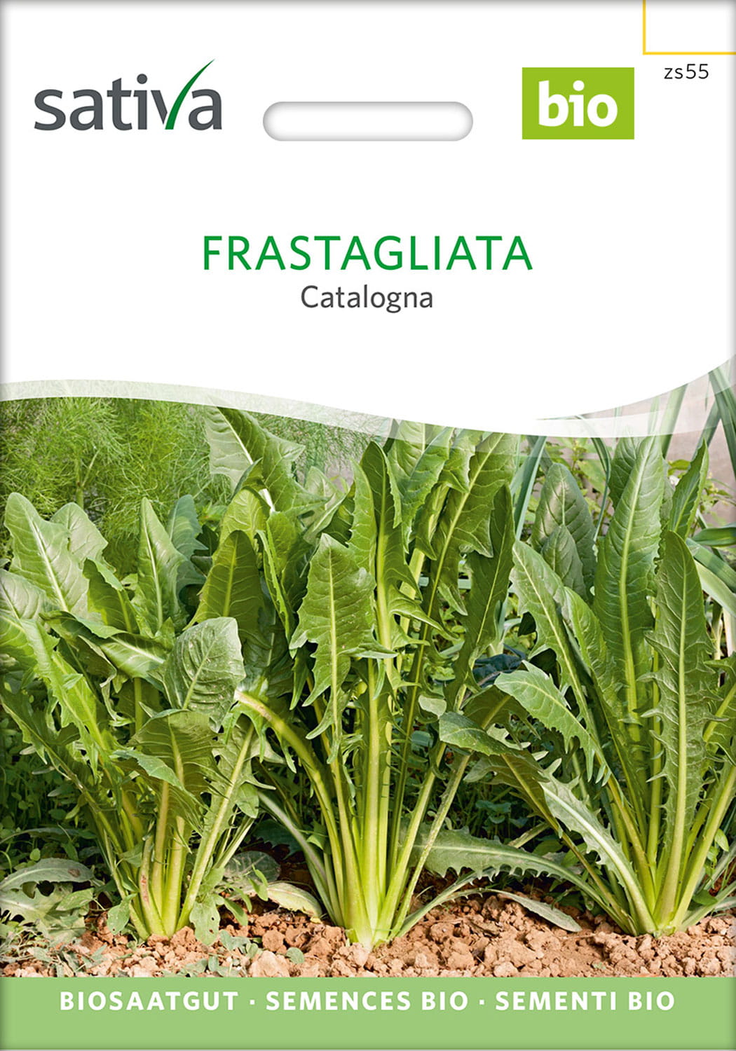 Catalogna Saatgut - Sativa
