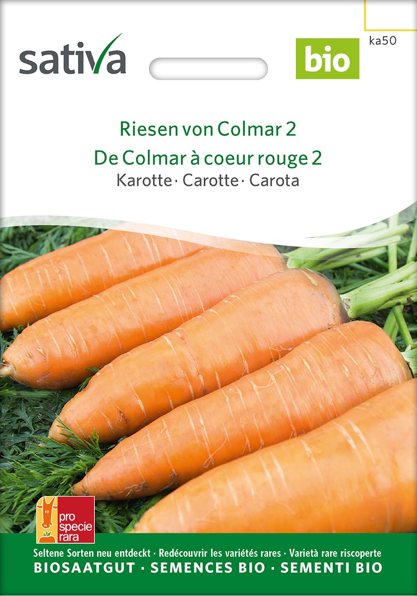 Karotte Riesen von Colmar 2 Saatgut Sativa