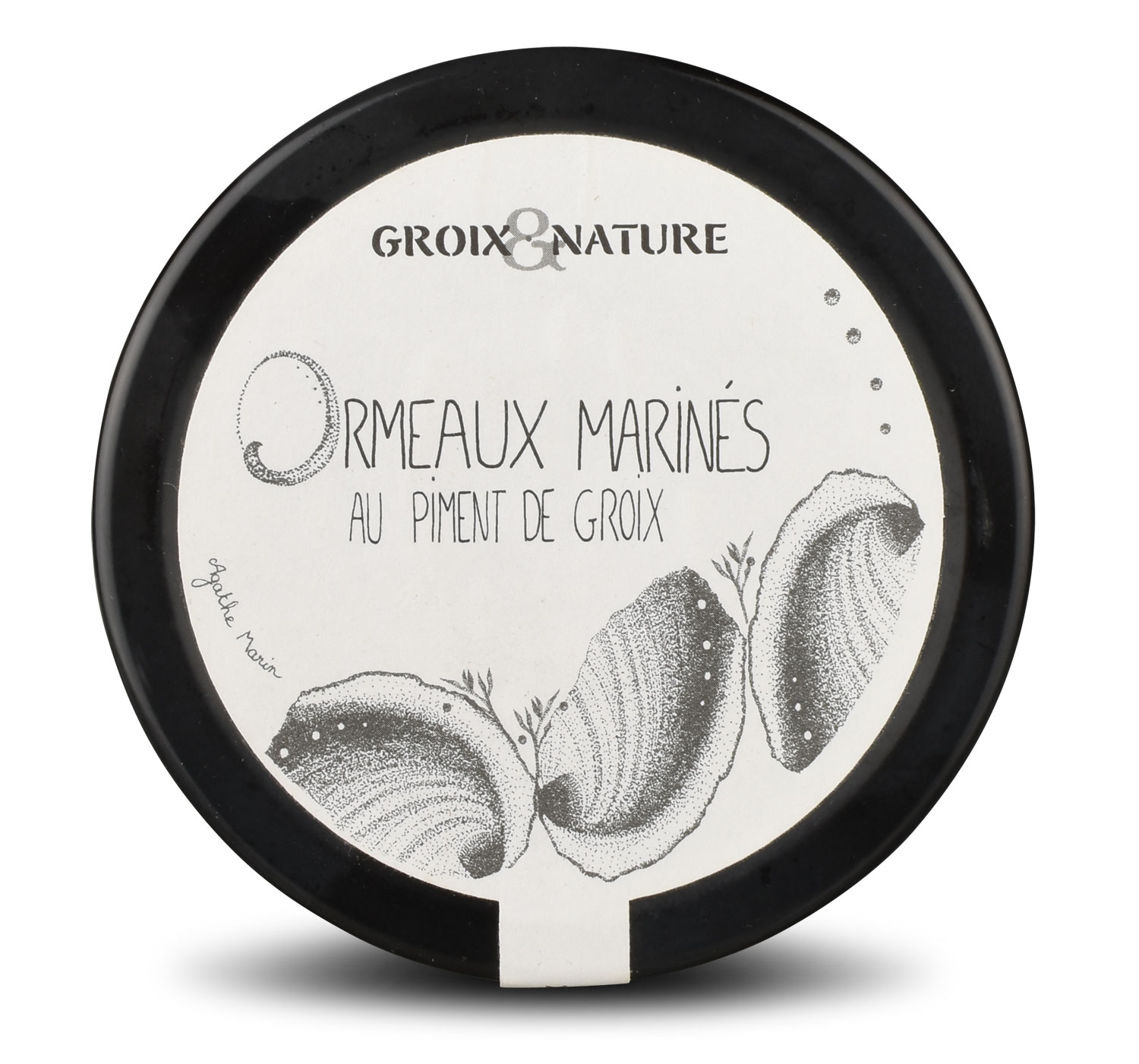 Abalone Groix Nature