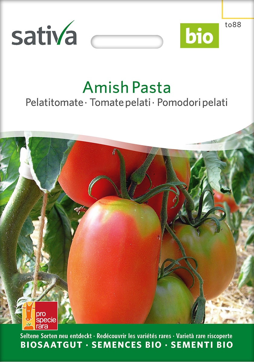 Pelatitomate 'Amish Pasta' Saatgut - Alte Sorte