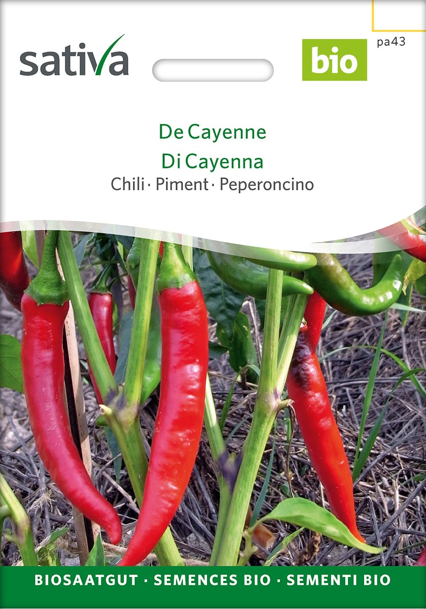 Chili 'De Cayenne' Saatgut