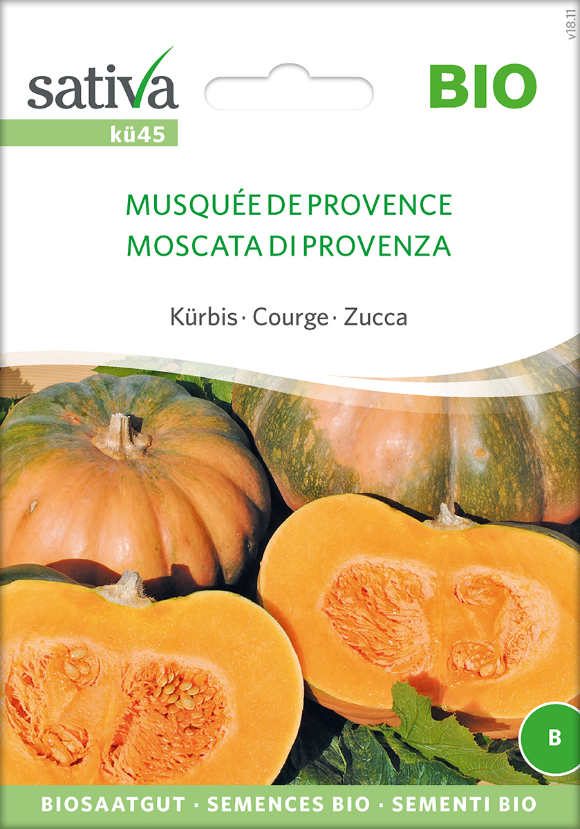 Kürbis 'Musquée de Provence' Saatgut