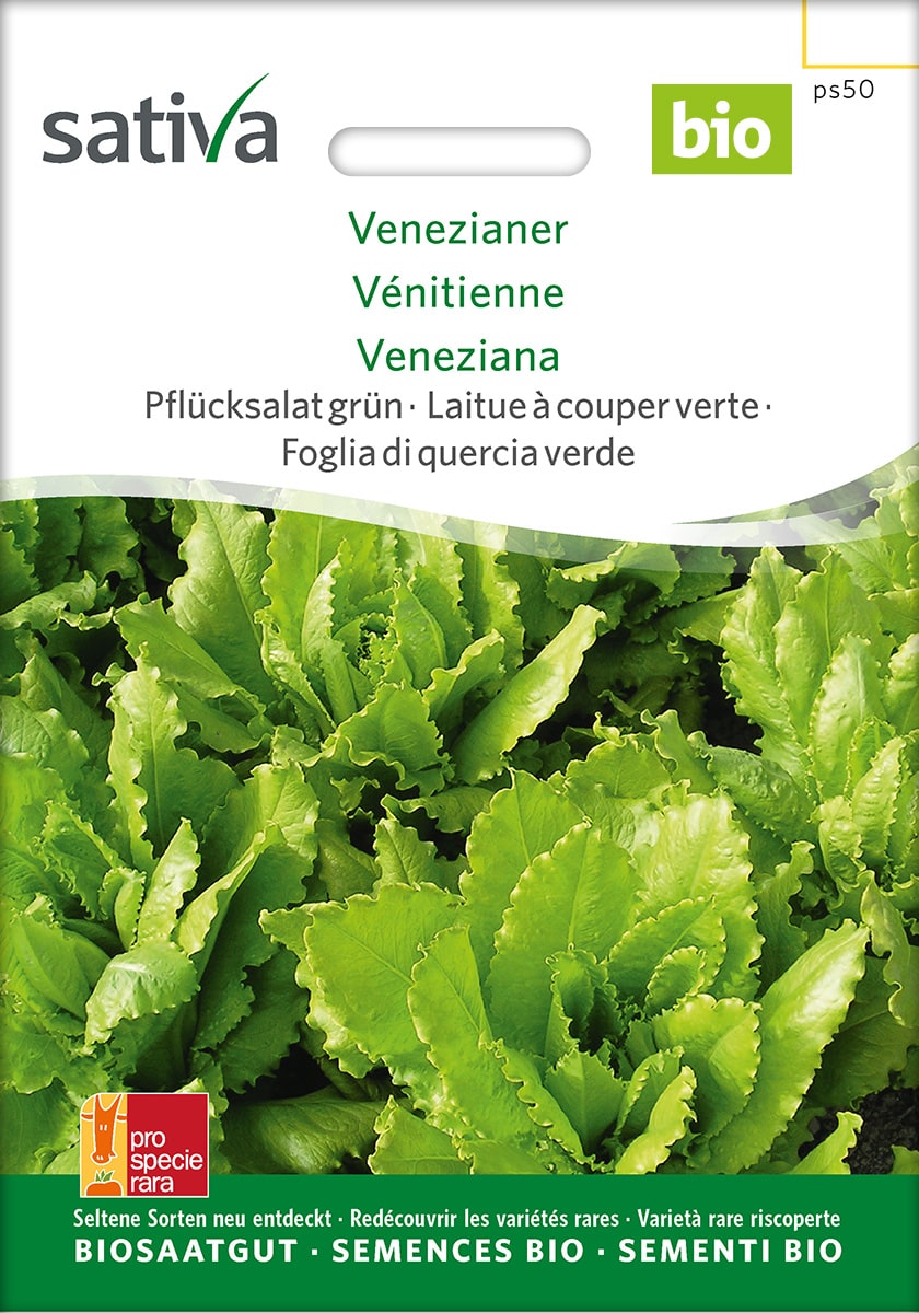 Pflücksalat 'Venezianer' - Saatgut
