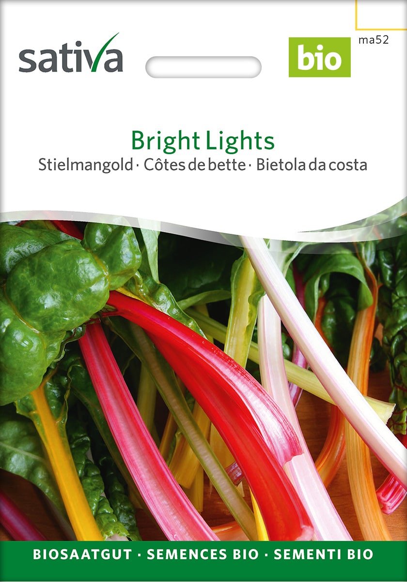 Stielmangold Bright Lights Saatgut