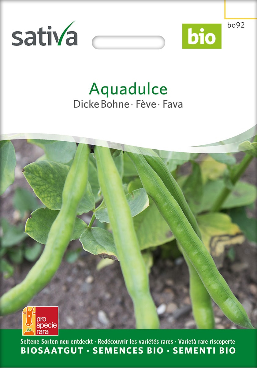 Dicke Bohne 'Aquadulce' Saatgut