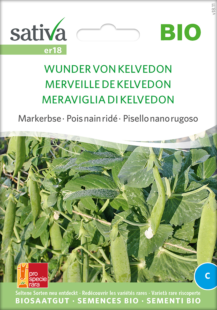 Erbse 'Wunder von Kelvedon' Saatgut