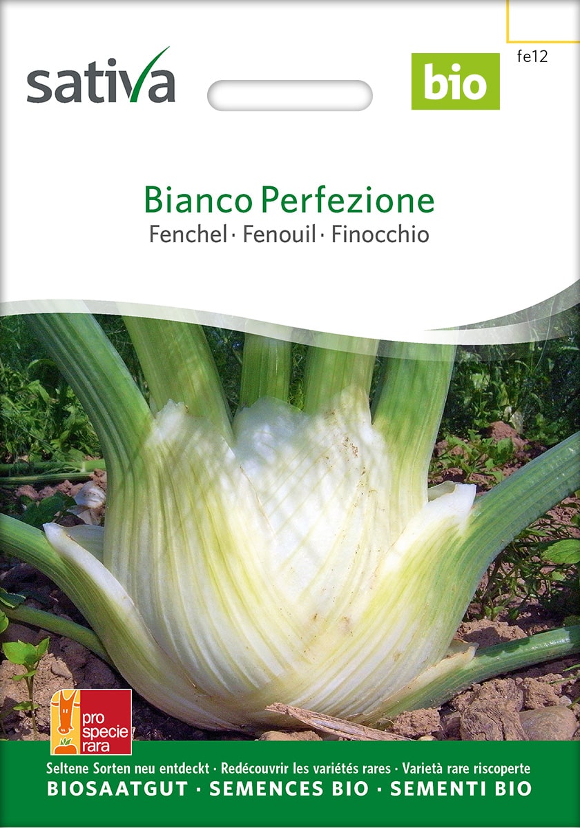 Knollenfenchel 'Bianco Perfezione' - Sativa Saatgut
