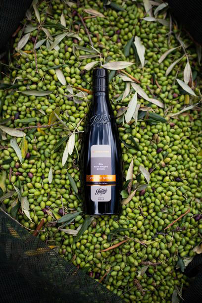 Olio Intini Cima di Mola Olivenöl auf frischen Oliven