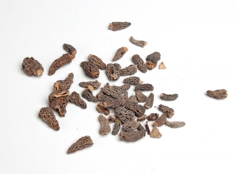 Spitzmorcheln Tinies, getrocknet Spitzmorcheln Tinies, getrocknet