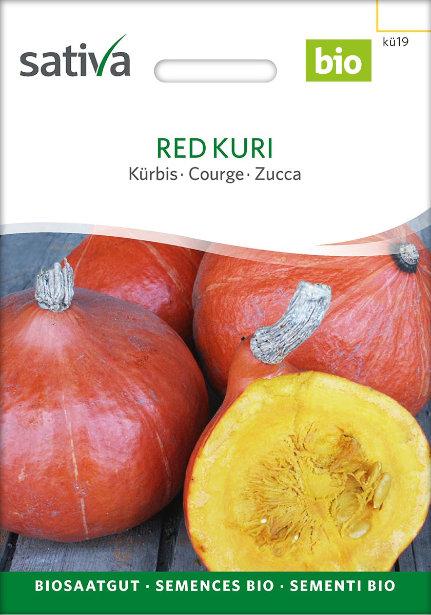 Hokkaido Red Kuri - Saatgut