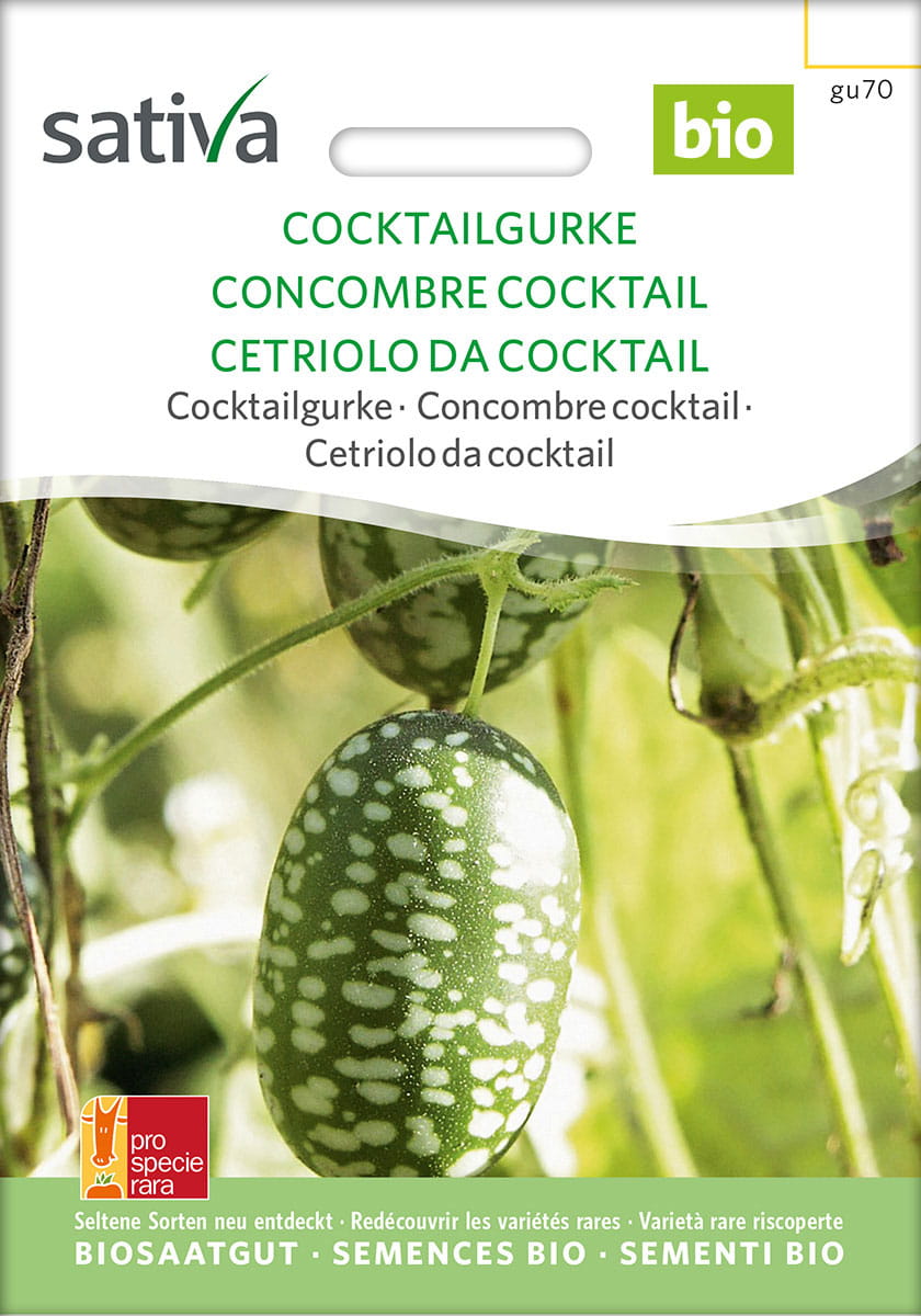Melothria Cocktailgurke Saatgut - Sativa