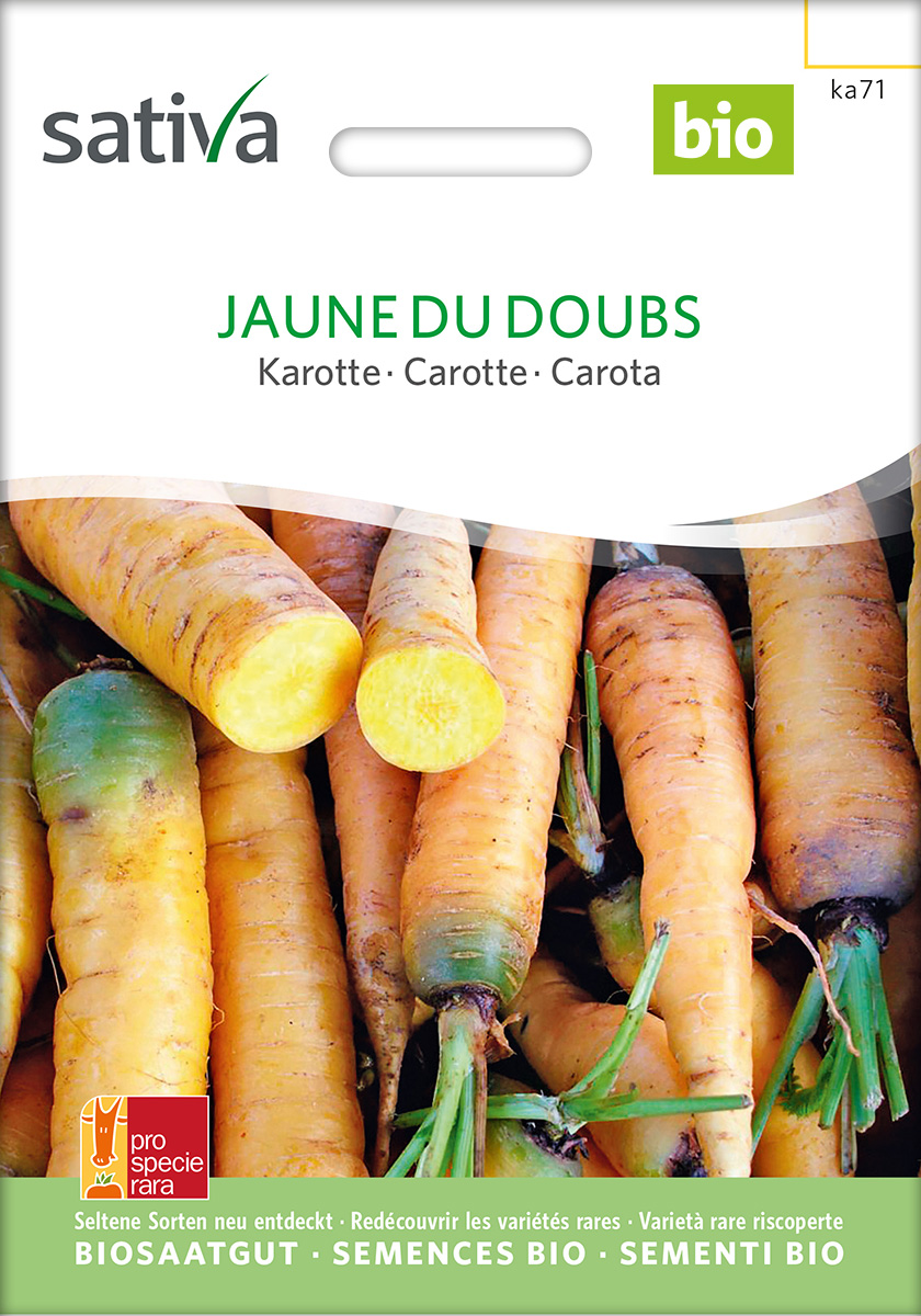 Saatgut Möhre Jauen du doubs