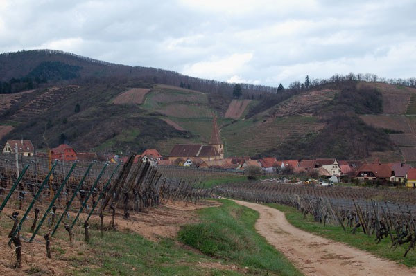 Niedermorschwihr Dorfansicht