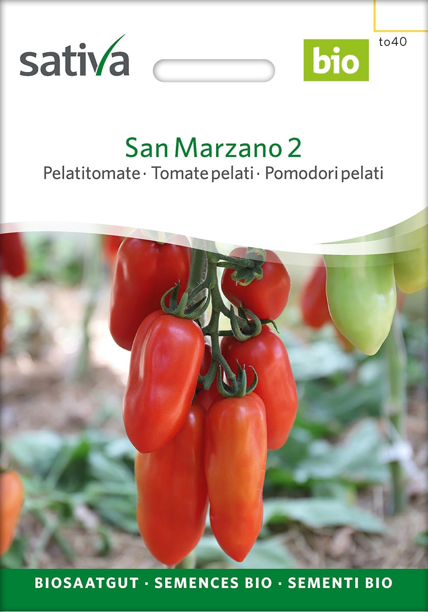 San Marzano Tomate Saatgut