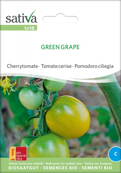 Stabtomate 'Green Grape' Saatgut
